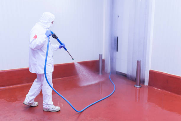 Best Spring Cleaning  in Dekal, IL